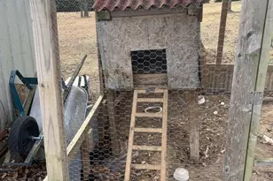 228 Notch Rd, Duncannon, PA 17020 - Photo 30