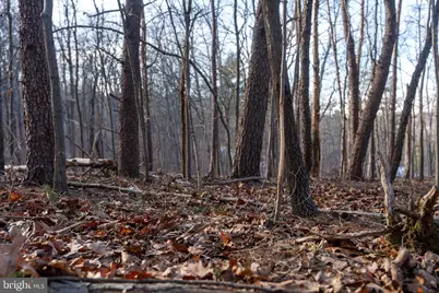 0 Barrick Hill Road, Shermans Dale, PA 17090 - Photo 28