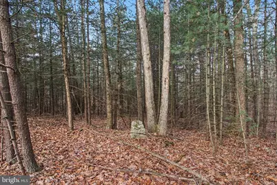 0 Hickory Ridge Road, Newport, PA 17074 - Photo 2