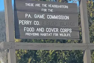 273 Fishing Rod Rd, Liverpool, PA 17045 - Photo 34