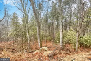 230 Woodridge Cir, Shermans Dale, PA 17090 - Photo 40