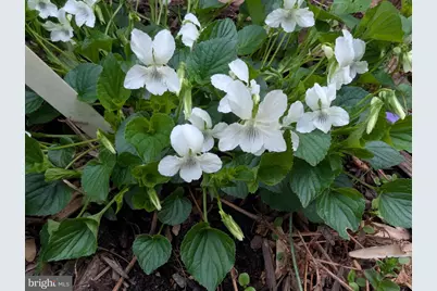 160 Germany Ridge Road, Elliottsburg, PA 17024 - Photo 80