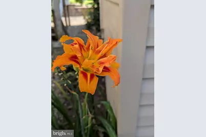 160 Germany Ridge Road, Elliottsburg, PA 17024 - Photo 76