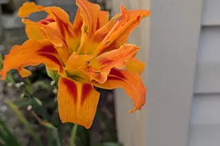 160 Germany Ridge Rd, Elliottsburg, PA 17024 - Photo 76