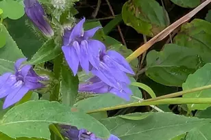 160 Germany Ridge Rd, Elliottsburg, PA 17024 - Photo 68