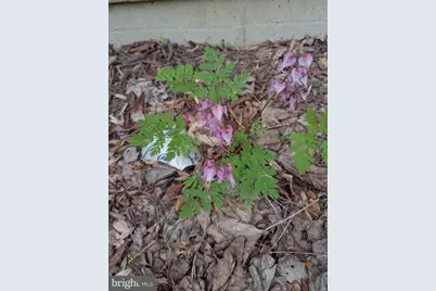 160 Germany Ridge Road, Elliottsburg, PA 17024 - Photo 78