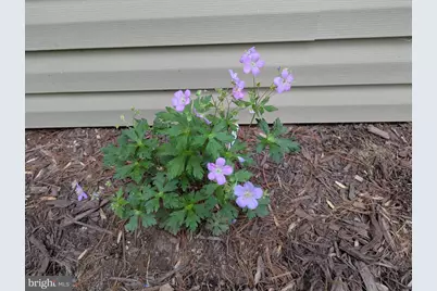 160 Germany Ridge Road, Elliottsburg, PA 17024 - Photo 82