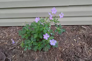 160 Germany Ridge Rd, Elliottsburg, PA 17024 - Photo 82