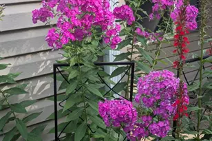 160 Germany Ridge Rd, Elliottsburg, PA 17024 - Photo 72