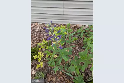 160 Germany Ridge Road, Elliottsburg, PA 17024 - Photo 74