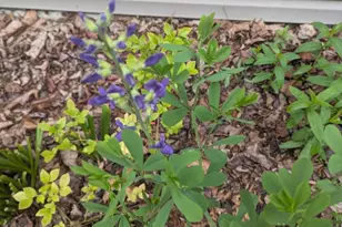 160 Germany Ridge Rd, Elliottsburg, PA 17024 - Photo 74