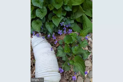 160 Germany Ridge Road, Elliottsburg, PA 17024 - Photo 64