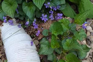 160 Germany Ridge Rd, Elliottsburg, PA 17024 - Photo 64