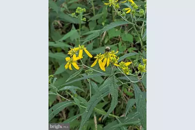 160 Germany Ridge Road, Elliottsburg, PA 17024 - Photo 70