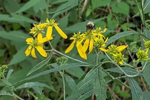 160 Germany Ridge Rd, Elliottsburg, PA 17024 - Photo 70