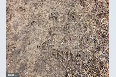 1237 Buckwheat Road, Millerstown, PA 17062 - Photo 34