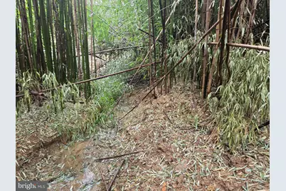 1237 Buckwheat Road, Millerstown, PA 17062 - Photo 18