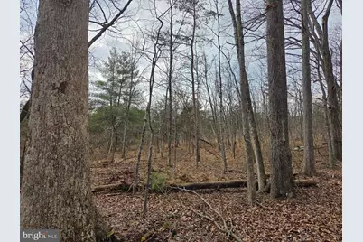 1237 Buckwheat Road, Millerstown, PA 17062 - Photo 2