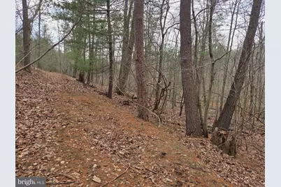 1237 Buckwheat Road, Millerstown, PA 17062 - Photo 6