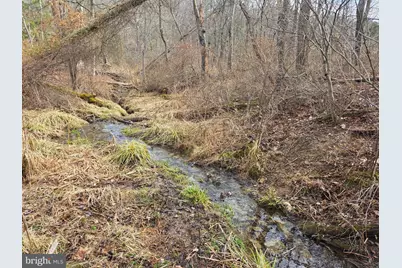 1237 Buckwheat Road, Millerstown, PA 17062 - Photo 38