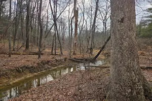 1237 Buckwheat Rd, Millerstown, PA 17062 - Photo 1