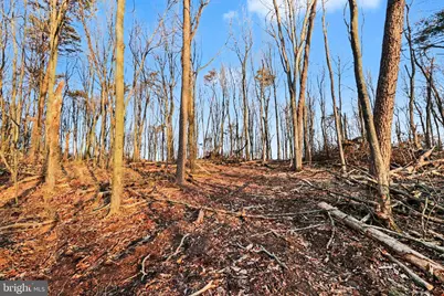 00 Pee Wee Lane, Duncannon, PA 17020 - Photo 14