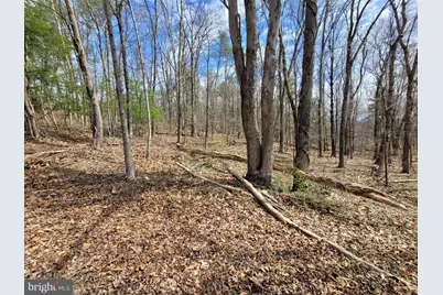 Sulphur Springs Road, Duncannon, PA 17020 - Photo 8