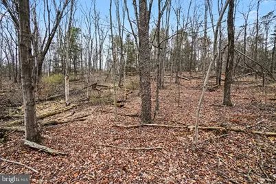 Sulphur Springs Road, Duncannon, PA 17020 - Photo 4