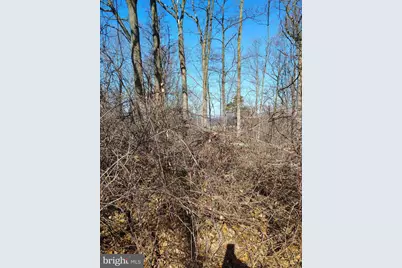 Lot 2 Kistler Rd, Elliottsburg, PA 17024 - Photo 10