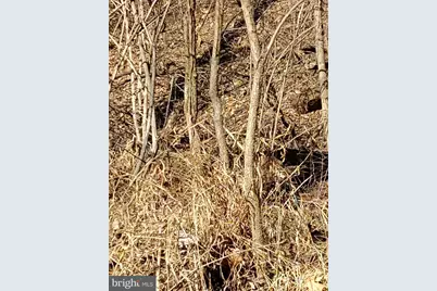 Lot 2 Kistler Rd, Elliottsburg, PA 17024 - Photo 2