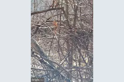 Lot 2 Kistler Rd, Elliottsburg, PA 17024 - Photo 6