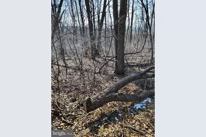 Lot 2 Kistler Rd, Elliottsburg, PA 17024 - Photo 12