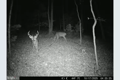 9 Irish Road, New Bloomfield, PA 17068 - Photo 48