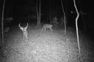 9 Irish Rd, New Bloomfield, PA 17068 - Photo 48