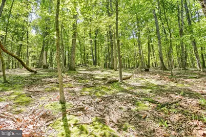 820 New Valley Road, Marysville, PA 17053 - Photo 42