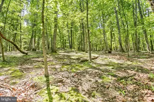 820 New Valley Rd, Marysville, PA 17053 - Photo 42