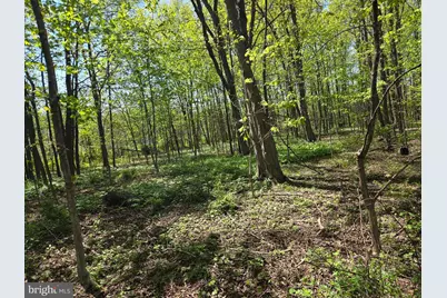 1010 Adams Grove Road, Blain, PA 17006 - Photo 82