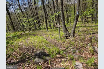 00 McCabe Road, Landisburg, PA 17040 - Photo 4