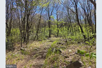 00 McCabe Road, Landisburg, PA 17040 - Photo 6