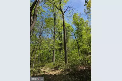 00 McCabe Road, Landisburg, PA 17040 - Photo 12