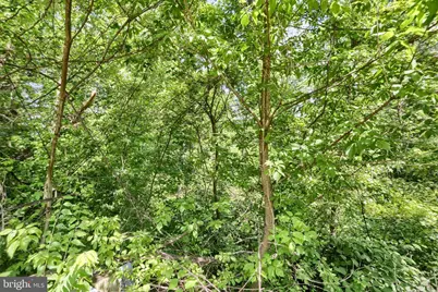 Susquehanna Trail, Liverpool, PA 17045 - Photo 8