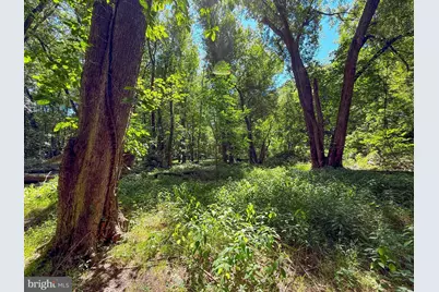 0 Inn Rd, Duncannon, PA 17020 - Photo 6