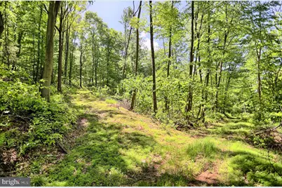 4909 Raccoon Valley Rd Road, Millerstown, PA 17062 - Photo 6