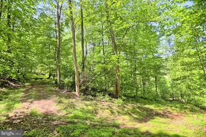 4909 Raccoon Valley Rd Road, Millerstown, PA 17062 - Photo 62