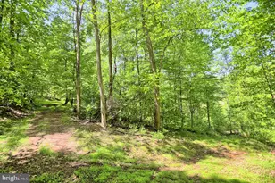 4909 Raccoon Valley Rd Rd, Millerstown, PA 17062 - Photo 62