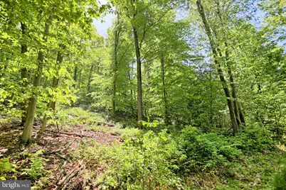 4909 Raccoon Valley Rd Road, Millerstown, PA 17062 - Photo 66