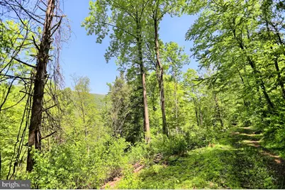 4909 Raccoon Valley Rd Road, Millerstown, PA 17062 - Photo 60