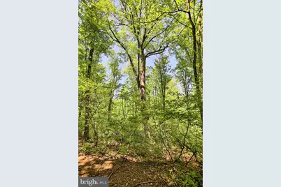 4909 Raccoon Valley Rd Road, Millerstown, PA 17062 - Photo 72