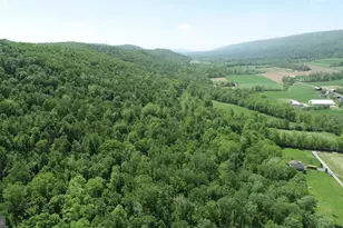 4909 Raccoon Valley Rd Rd, Millerstown, PA 17062 - Photo 86