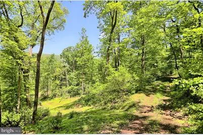 4909 Raccoon Valley Rd Road, Millerstown, PA 17062 - Photo 56